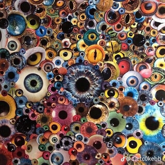 Background picture of Kels