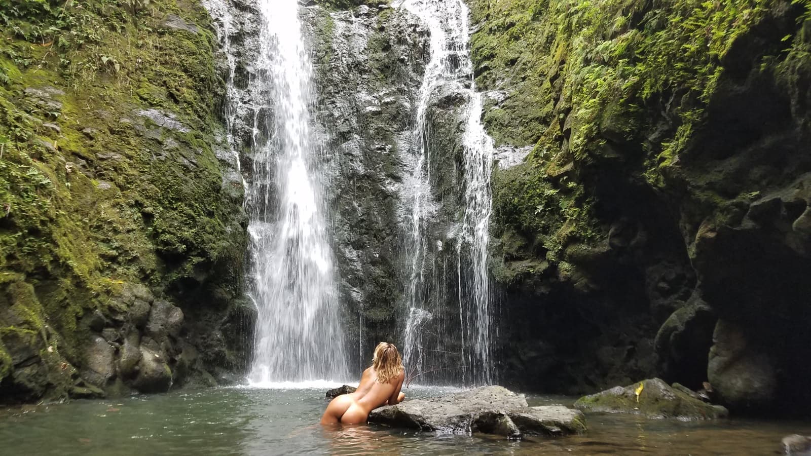 Background picture of ✨God/dess Laila Delight✨