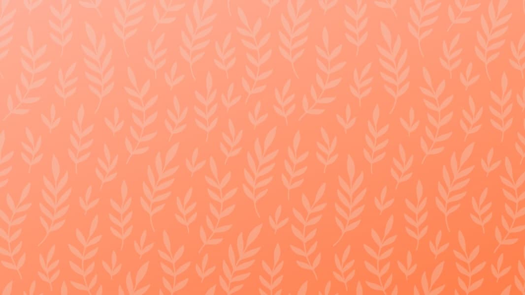 Background picture of JustJaxper