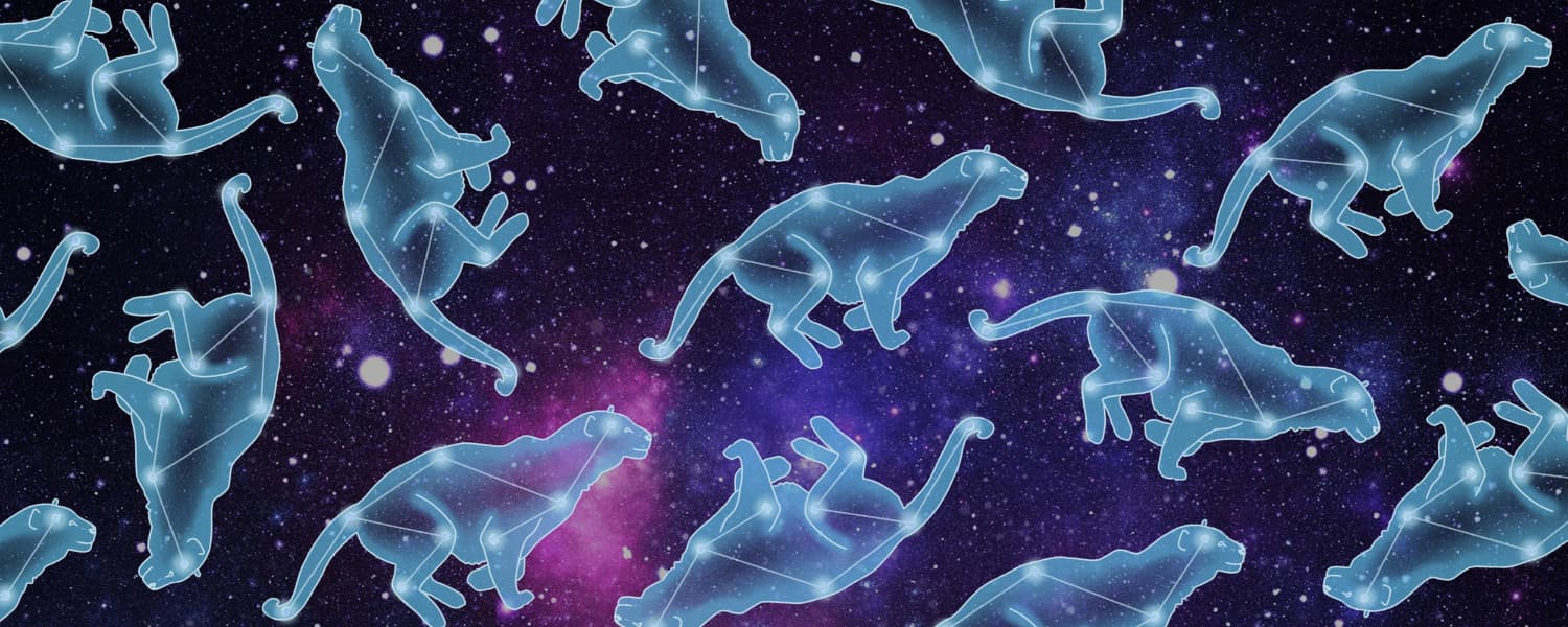 Background picture of SpaceyTora