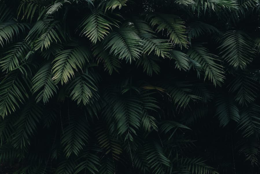 Background picture of Aveege