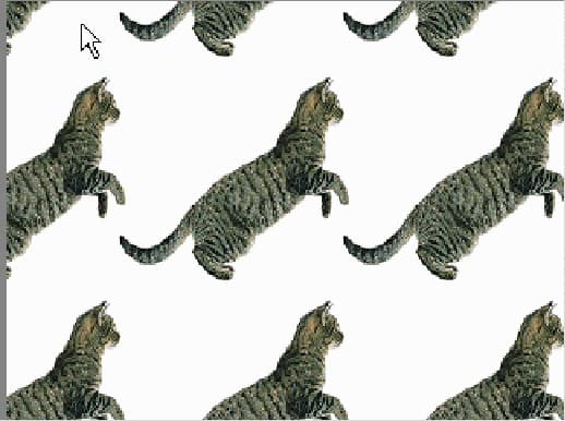 Background picture of bouphe