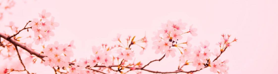 Background picture of Sereiina