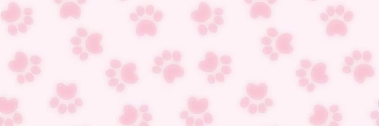 Background picture of zivi