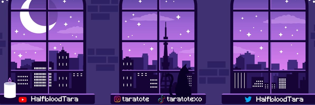 Background picture of TaraTote