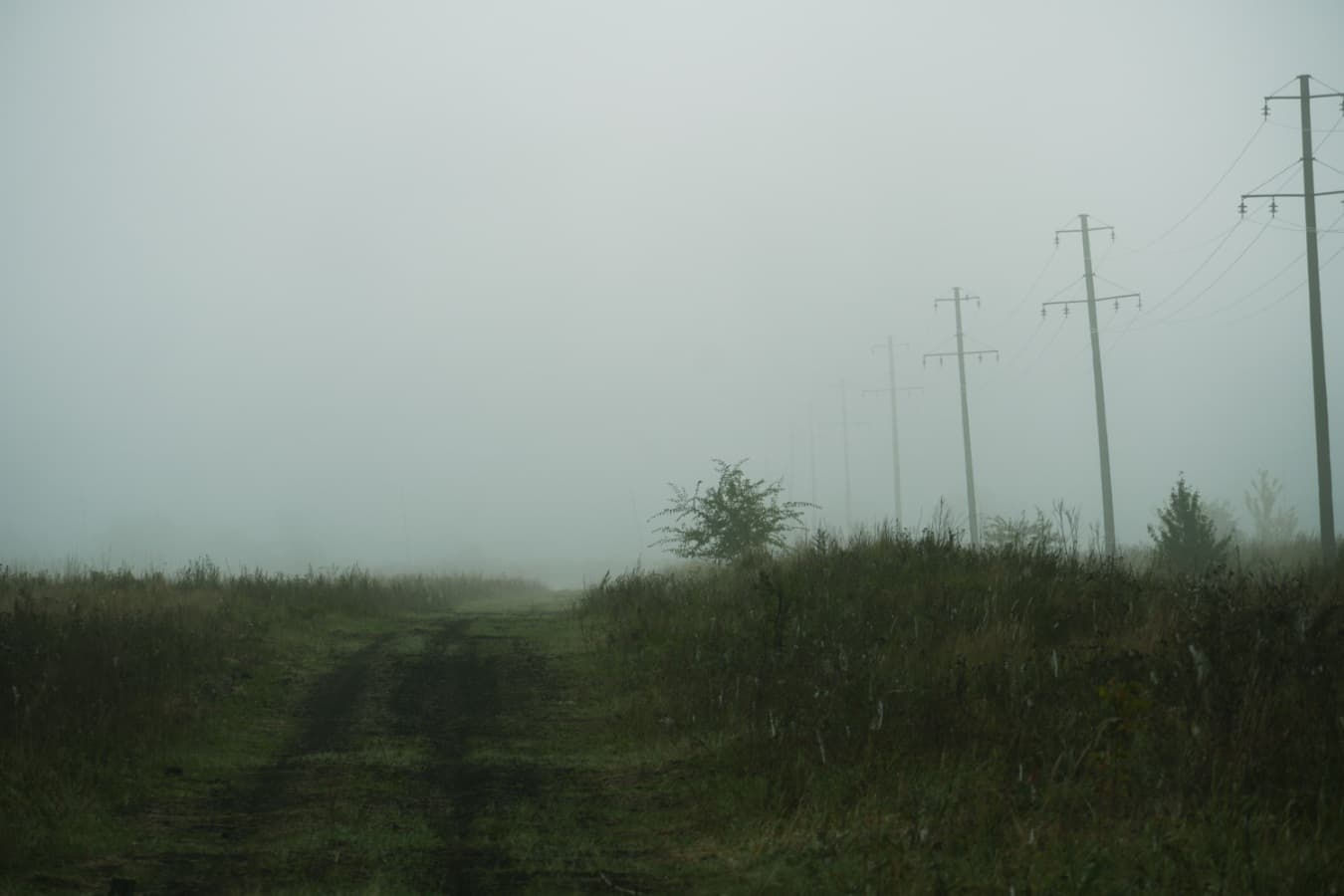 Background picture of MiistNiight