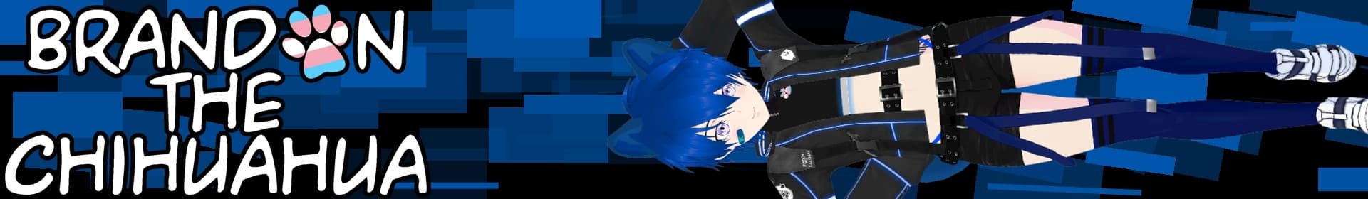 Background picture of Brandon the Chihuahua