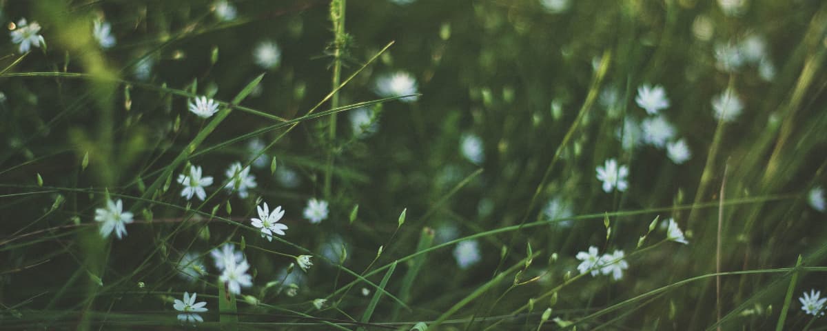 Background picture of Hey_Artie