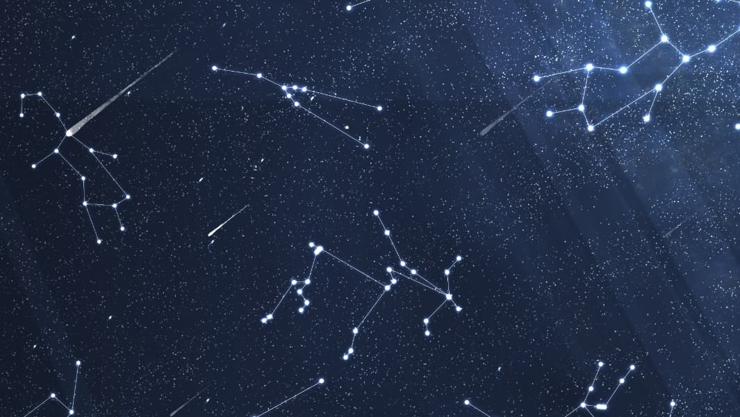 Background picture of LaystarVT