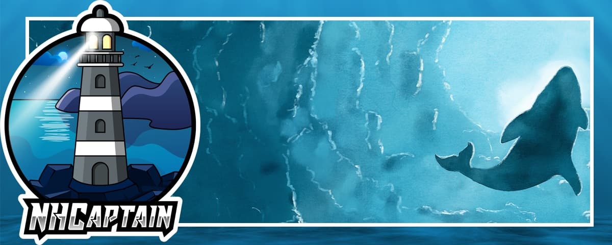 Background picture of NHCaptain