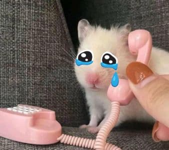 Background picture of TheRedactedRat