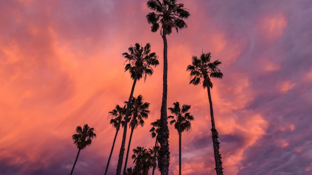 Background picture of gSwirly