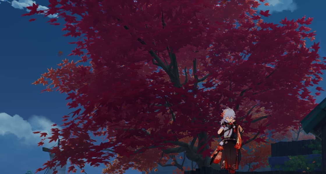 Background picture of heyViatrix