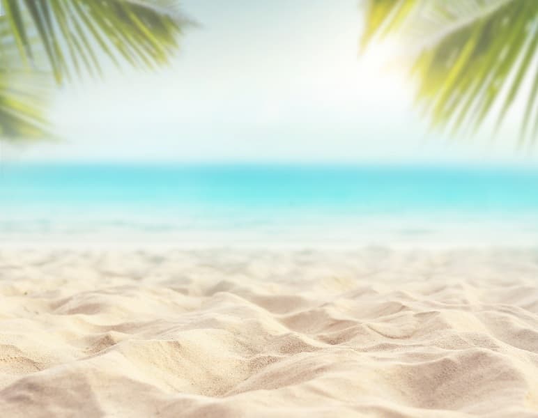 Background picture of spikee_j