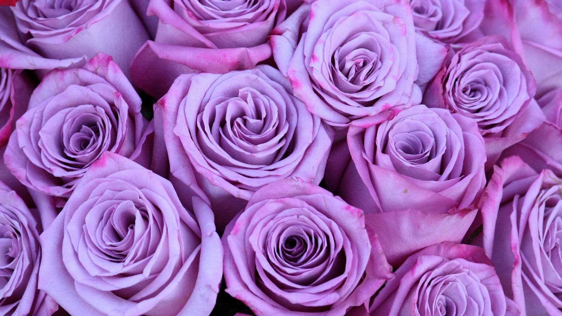 Background picture of TheRosePatchGaming