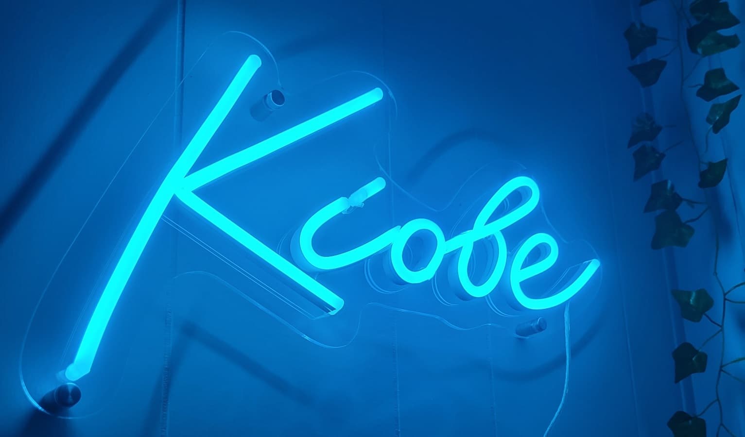 Background picture of kiobe_