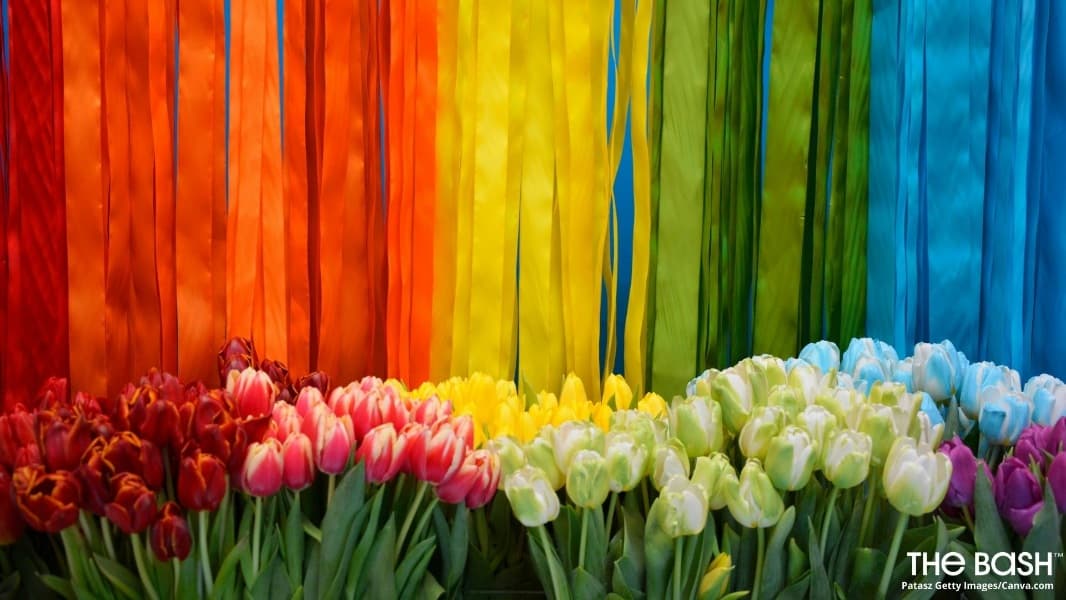 Background picture of Qukatt