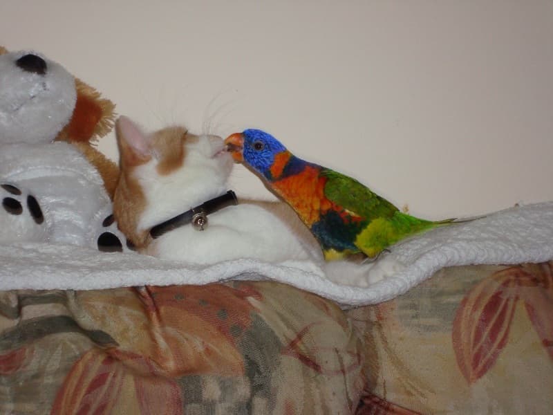 Background picture of WyattRumore