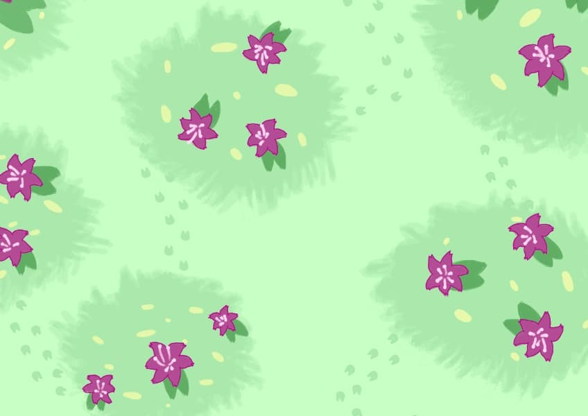 Background picture of Mylittlecorgi