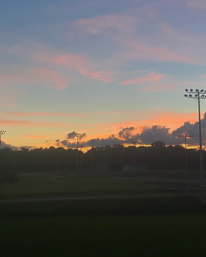 Background picture of strider