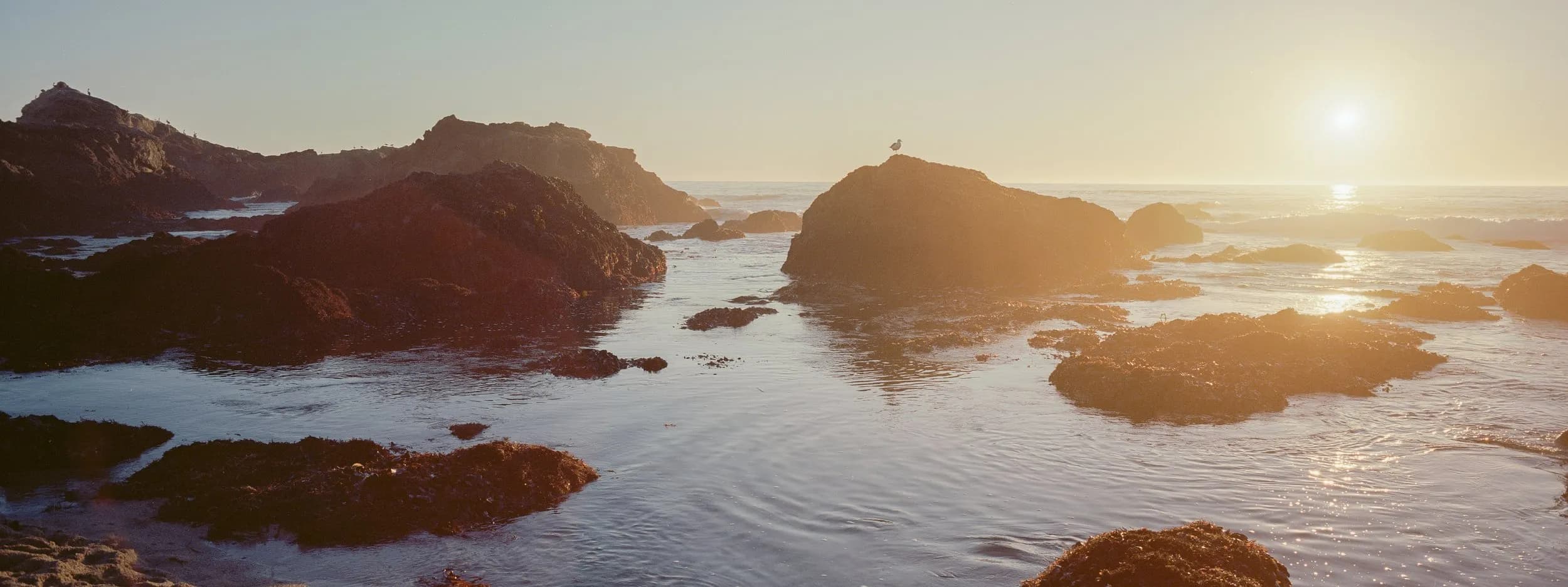 Background picture of D-7th