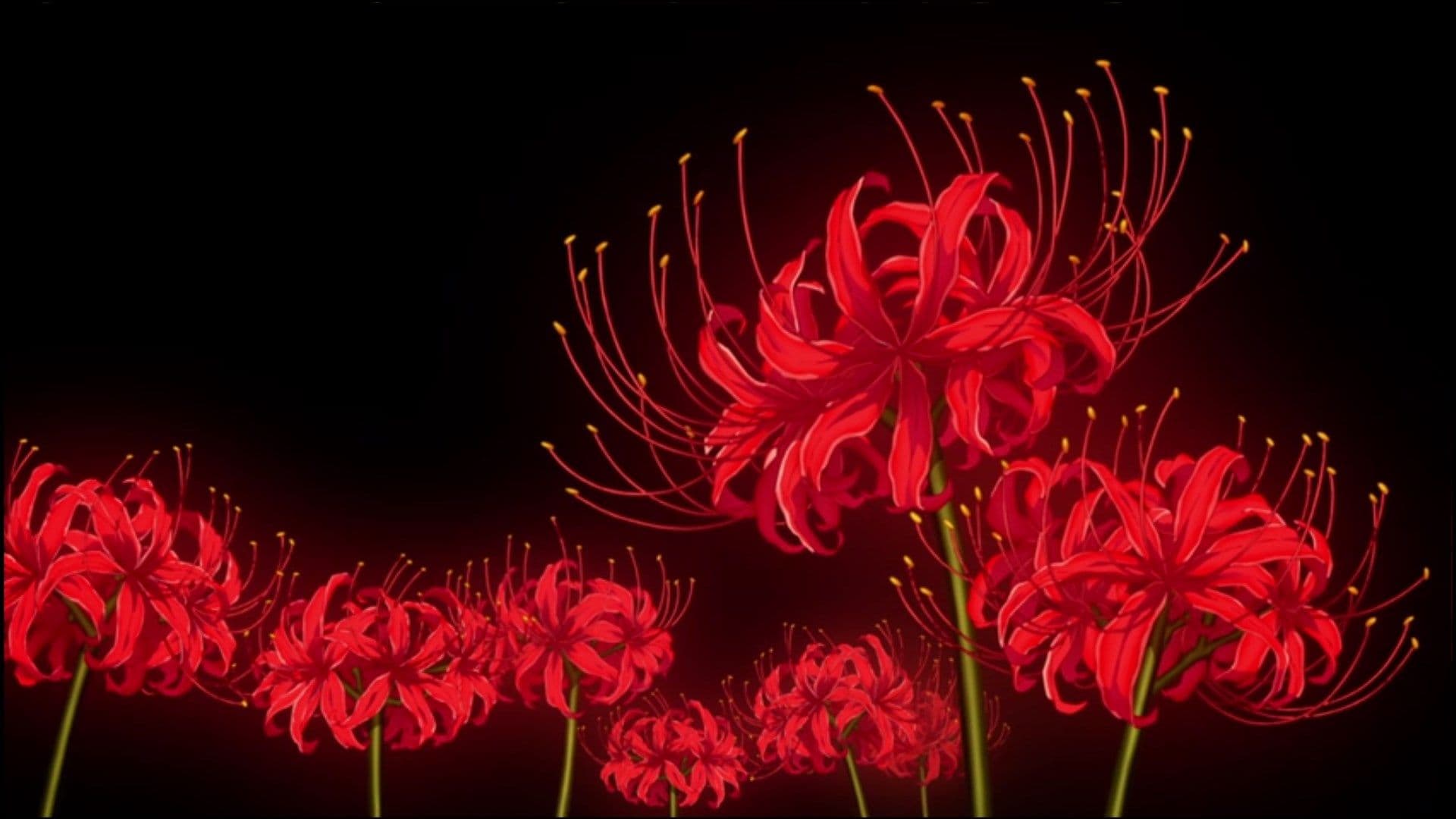 Background picture of Erina Lycoris