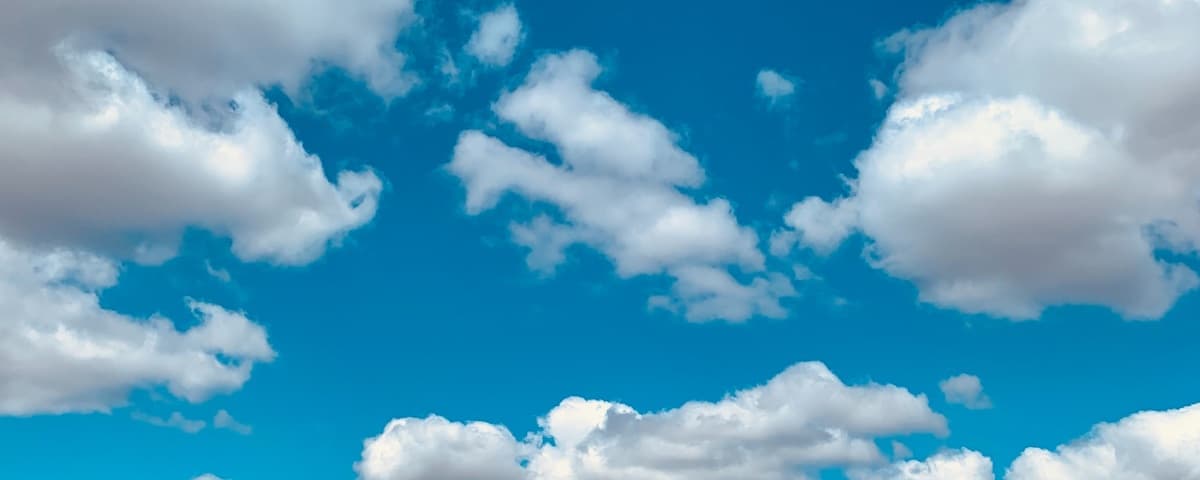 Background picture of junimelkart