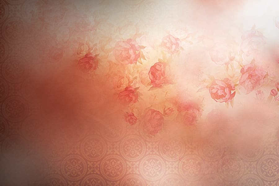 Background picture of Meychuun