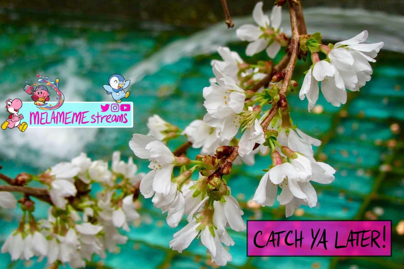 Background picture of MELAMEMEstreams