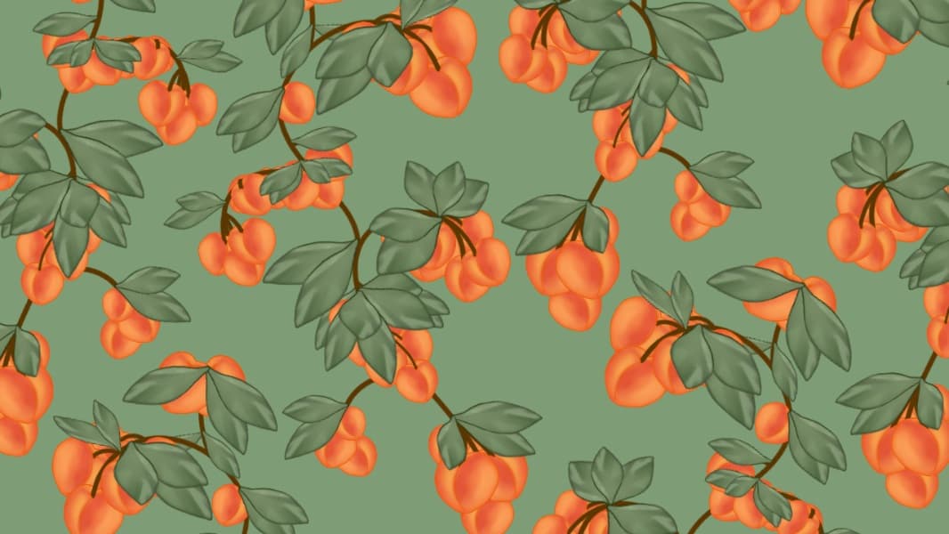 Background picture of Anzu no Hako