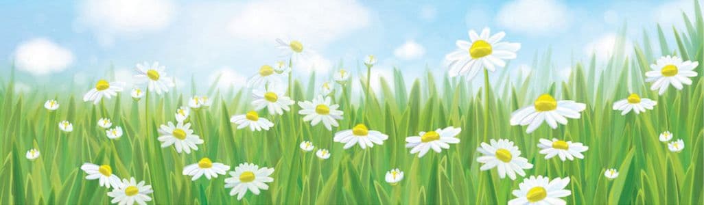 Background picture of brookliey