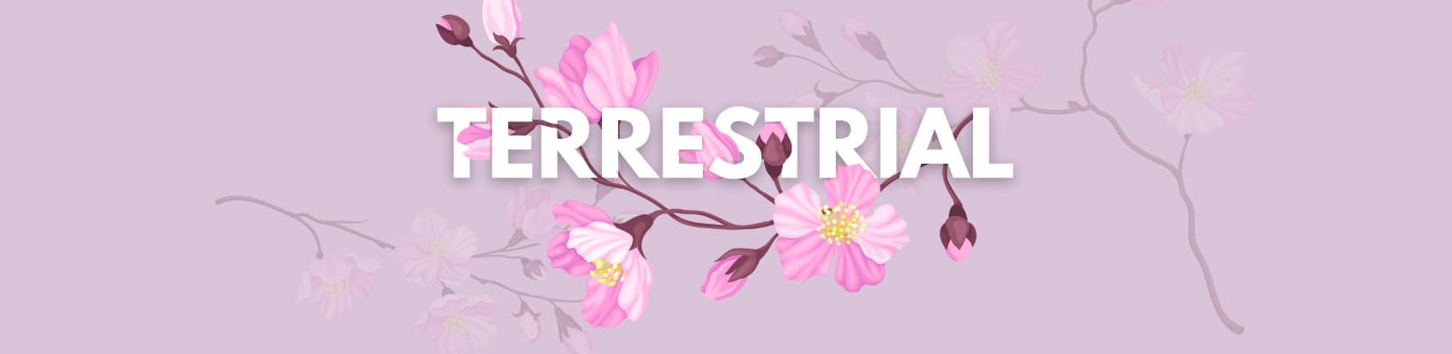 Background picture of Terrestrial