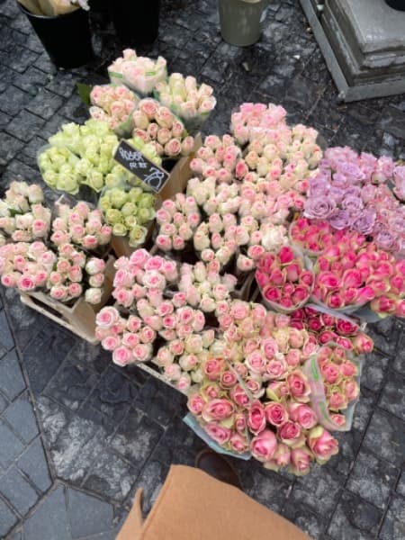 Background picture of diana