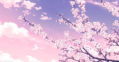 Background picture of leyia