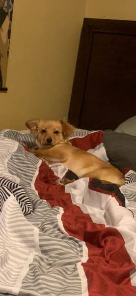 Background picture of Gongwa