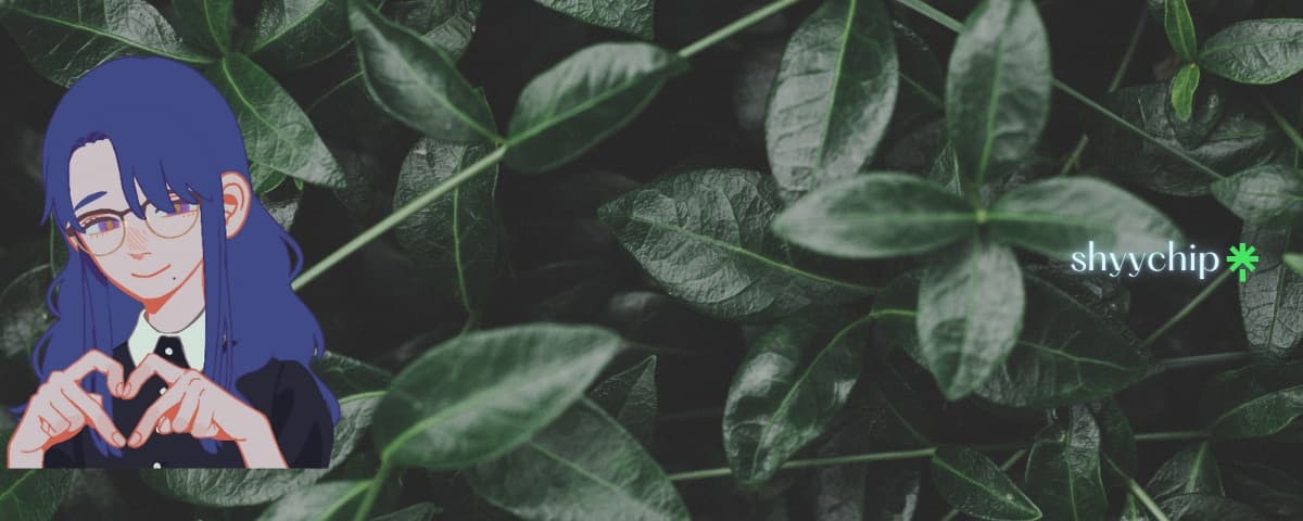 Background picture of shyychip