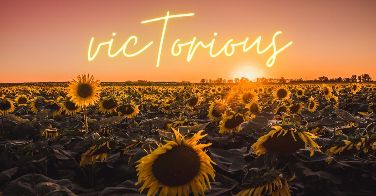 Background picture of Tori (she/her)