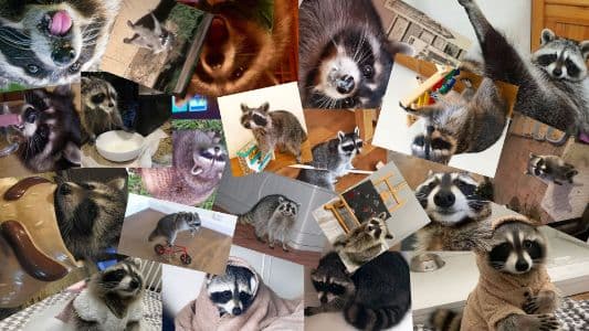 Background picture of WagashiTrash