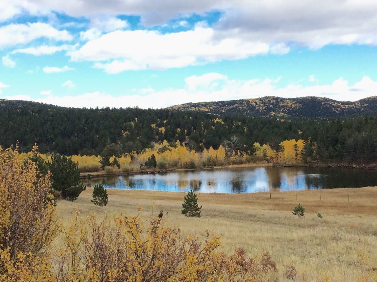 Background picture of ImaginaryStory