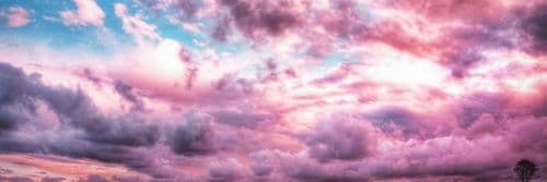 Background picture of Yelena Tori