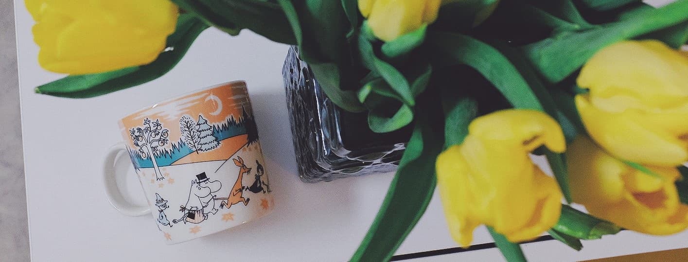 Background picture of Moomi