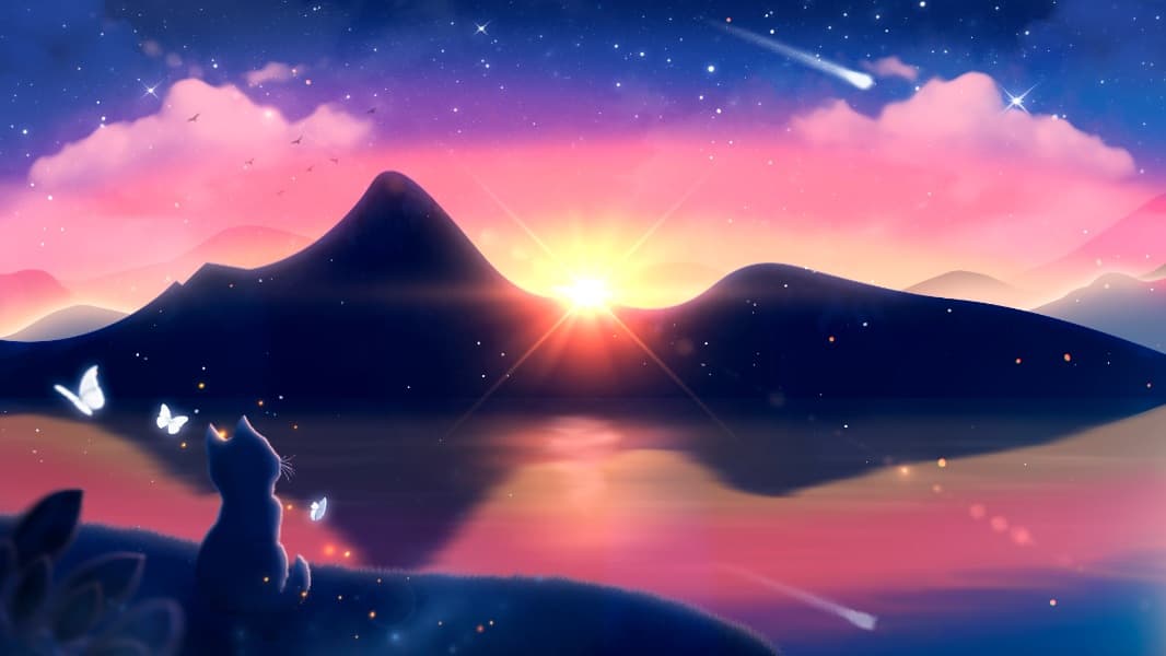 Background picture of xCatilx