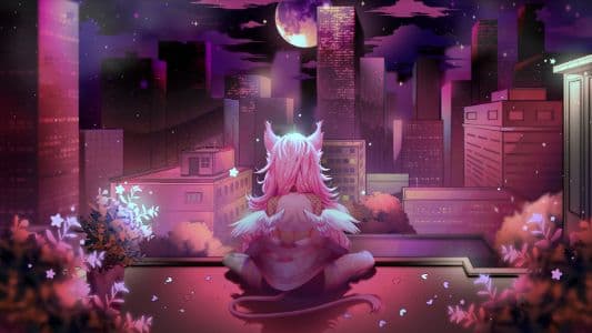 Background picture of Shishi Finfin