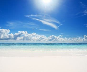 Background picture of miraetojo