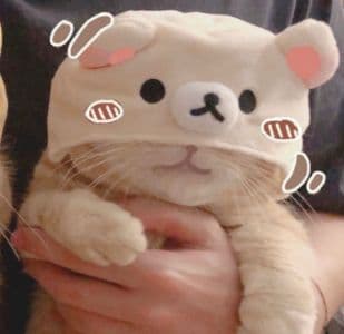 Background picture of hoshiiko__