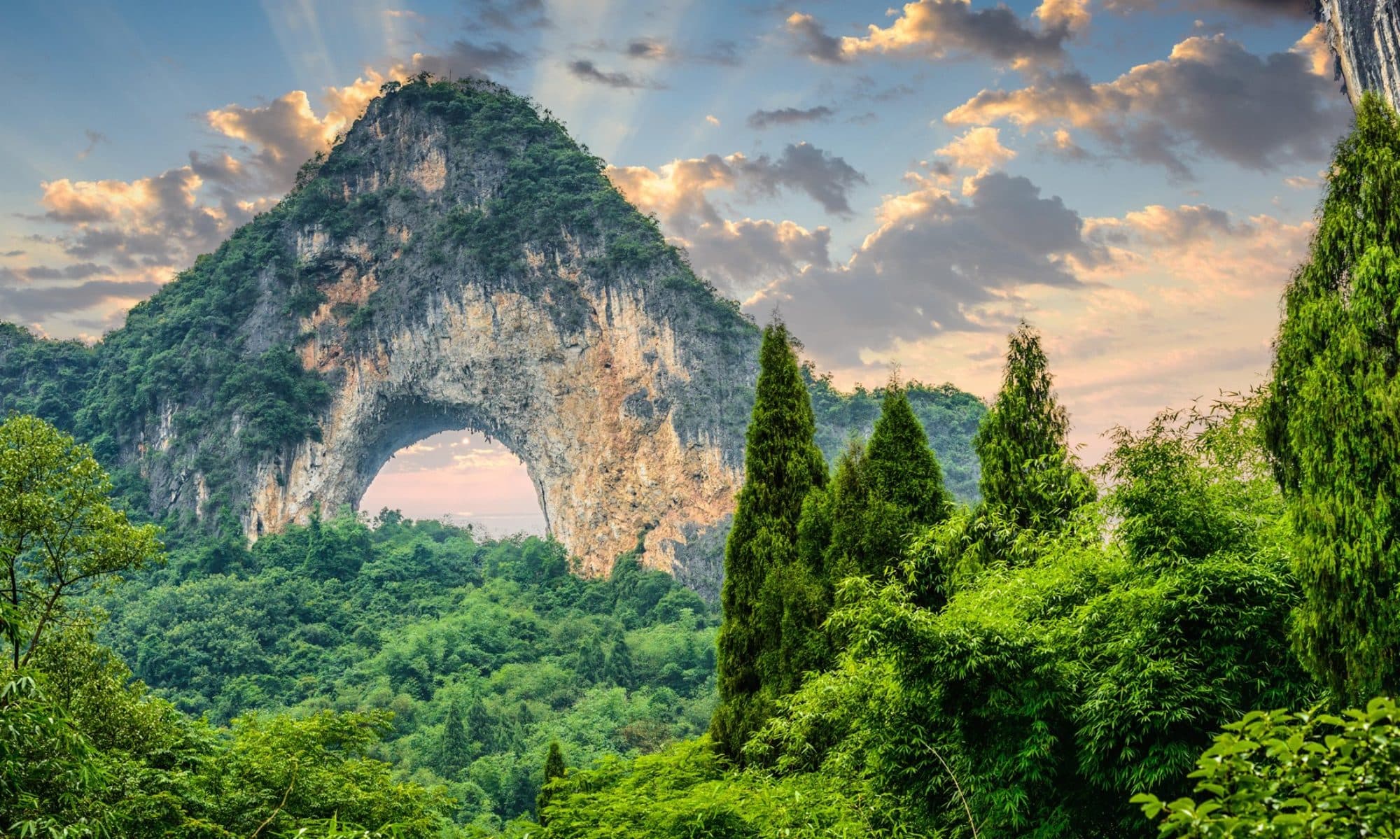 Background picture of ilse MJ Mul