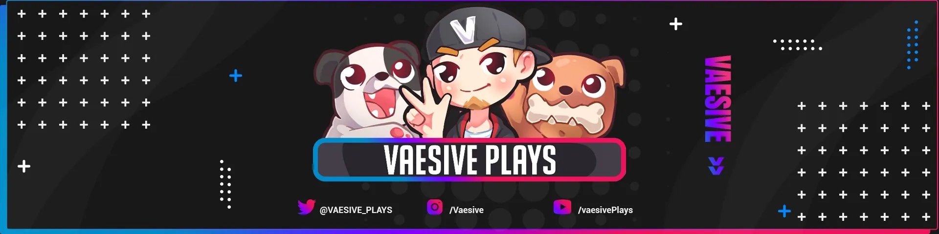 Background picture of Vaesive