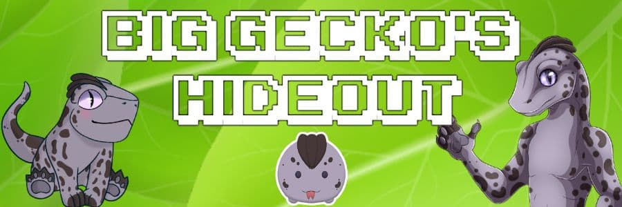 Background picture of DidacTheBigGecko