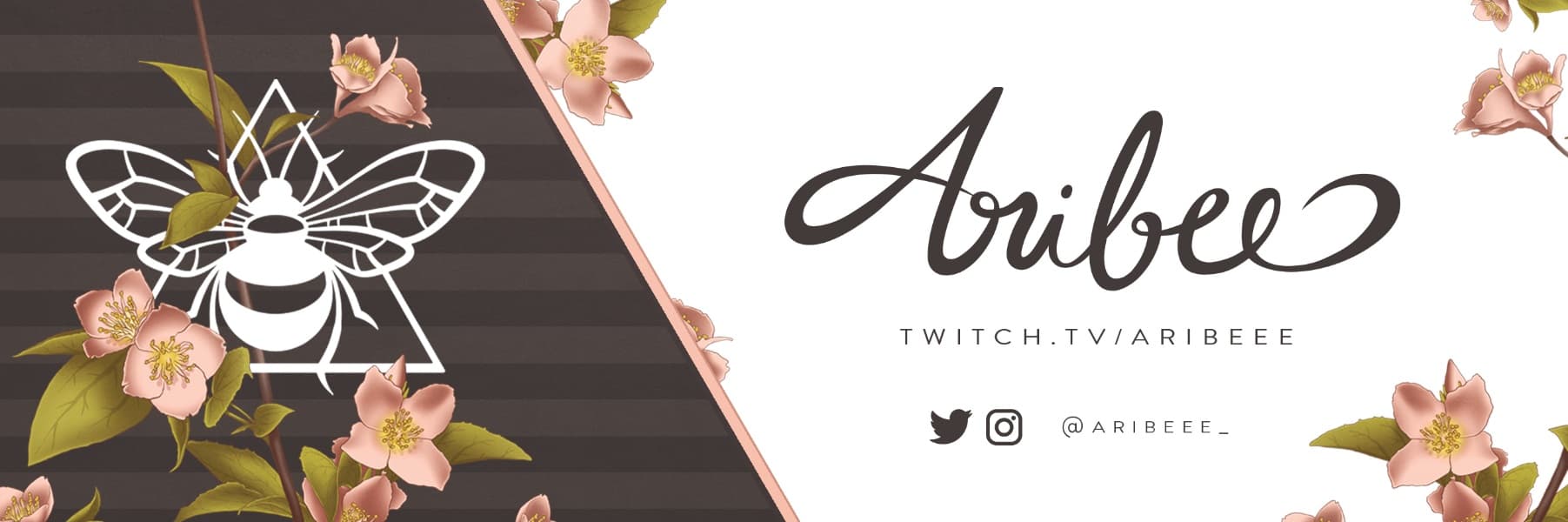 Background picture of Aribeee