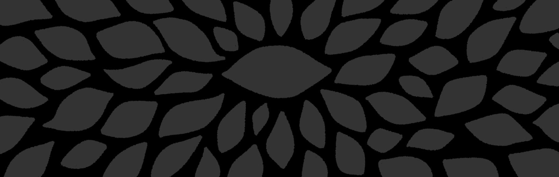 Background picture of saltcipher